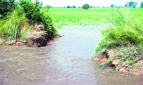 A breach in the Bhiwani distributary near Chang village of Bhiwani.
