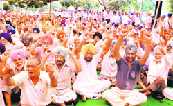 Members of the Punjab Government Pensioners Joint Forum stage a protest in Jalandhar on Friday. 