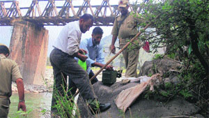 Policemen at the site where grenades were recovered in Poonch on Friday. 