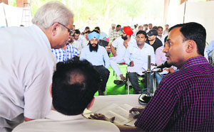 The auction of trees under way at Phillaur.