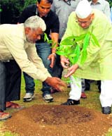 Uttarakhand Governor Aziz Qureshi plants a sapling to launch the Green Doon campaign, jointly organised by the St Josephs' Alumni Association and E Rotary in Dehradun on Saturday.