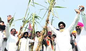 Farmers in a jubilant mood after hearing the news of increase in minimum support price of sugarcane outside the Haryana CMs house, Sector 3, in Chandigarh on Sunday