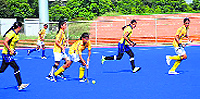 A match in progress on the concluding day of the Punjab State Hockey League at PAU in Ludhiana on Sunday