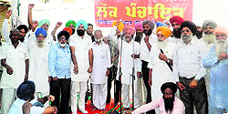 Former MLA Tarsem Jodhan and other leaders during a lok panchayat at Koom Kalan on Sunday