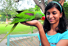 A bird lover with her parrot in a park in Ludhiana