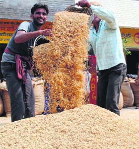 Labourers at work at the Bhagtanwala grain market in Amritsar on Tuesday