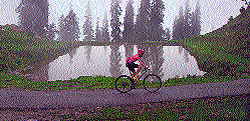 Portuguese cyclist Luis Pinto pedals his way to the Hatu Peak on Day 5 of the MTB Himalaya 2013 near Shimla on Wednesday