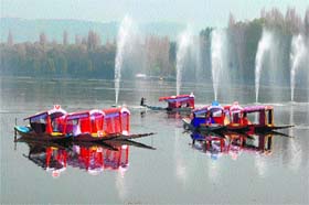 Serene reflections: Adorned Shikaras being rowed across the fountains on the Dal Lake in Srinagar