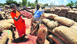 Women sort onions at a wholesale market in Coimbatore.