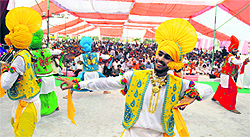 A bhangra performance in progress at the Punjabi University Youth Fest in Bathinda