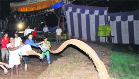 Organisers drain out rainwater from the Sector 28 ground in Chandigarh on Thursday.