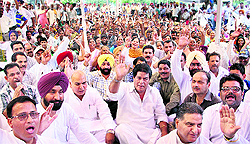 Congress leaders and workers protest against the SAD-BJP governments policy of regularising illegal colonies at the District Administrative Complex in Jalandhar on Thursday