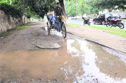 cyclists safety goes off track: A rickshaw-puller has a tough time riding on a cycle track due to a large pothole at Sector 20 in Chandigarh.