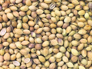 Rich in linaloon and decanoic acid, coriander seeds can lower cholesterol and blood sugar