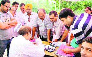 Plot holders apply for regularisation as MC and JDA offices remained open on Sunday in Jalandhar.