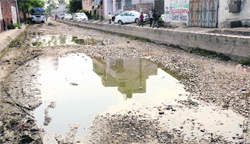 Guru Nanak Pura Road in Jalandhar. A Tribune Photograph
