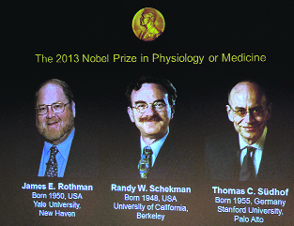 (From left) James E Rothman, Randy W Schekman (both from the US) and Thomas C Suedhof from Germany, all joint winners of the Medicine Nobel Prize.  AFP