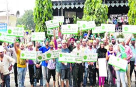 Volunteers of the EcoAmritsar and other organisations participate in the nagar kirtan in Amritsar on Tuesday
