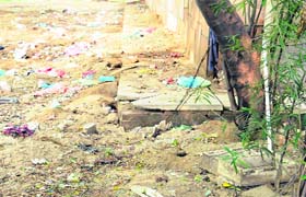 Burrows made by rats near a ward