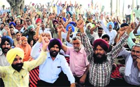 Employees of Guru Nanak Dev Thermal Plant hold a rally in Bathinda on Tuesday.