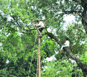 Power Development Department workers busy with repair work without safety belts or adherence to safety norms in Jammu on Tuesday.