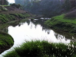 The Saraswati drain carrying polluted water near Rasoli village in Patiala.