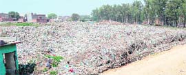 A garbage dump at Bhagtawala in Amritsar.