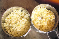 Worms in the mid-day meal served to students of Shahid Sipahi Sandeep Singh Government Senior Secondary School in Bathinda on Friday.