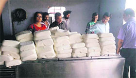 Ludhiana Civil Surgeon Dr Subhash Batta (2nd from right), along with team members of the Health Department, checks the seized paneer from Kahlon Dairy at Kotlana Bet village.