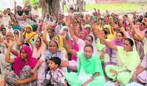 Members of the Mid-day Meal Cooks Front raise slogans against the state government at Rampura Phul in Bathinda district on Saturday. 