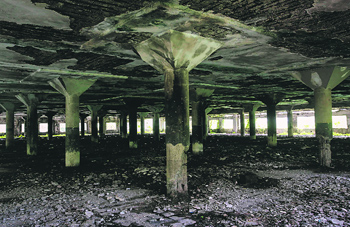 A general view of the abandoned textile mill in Mumbai, where a photo journalist was raped in August this year. 