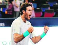 Del Potro celebrates after beating Rafael Nadal in the semifinals at the Shanghai Masters on Saturday. 