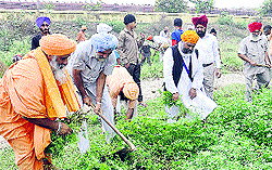Renowned environmentalist Balbir Singh Seechewal initiates cleanliness campaign in Sultanpur Lodhi on the occasion of Dasehra