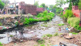 The contaminated Tung Dhab drain near Majitha in Amritsar.