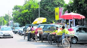 Roadside vendors run their business from a parking place in front of the Sector 9 market in Panchkula.