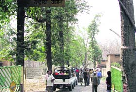 A rush of tourists at Jim Corbett National Park in Dehradun