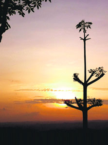 A view of a sun set in Dharamsala.
