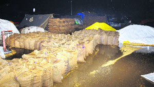 Paddy lying at the waterlogged Rajpura grain market on Monday. 