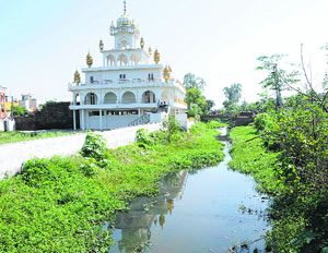 A polluted drain that passes next to Abul Khair gurdwara in Gurdaspur. 