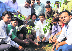 Youths plant a sapling during a plantation drive organised by the Bhagya Laxmi Charitable Trust at JDA Park in Jammu on Wednesday. Tribune Photo: Inderjeet Singh