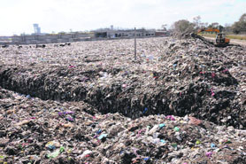 A file photo of the garbage dump in Bathinda.