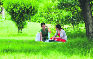 Students busy in studies at a lawn of the University of Jammu on Saturday. 