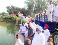 Farmers throw discoloured paddy into the Sirhind canal near Machhiwara.
