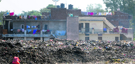 Heaps of garbage dumped at Dadu Majra in Chandigarh.