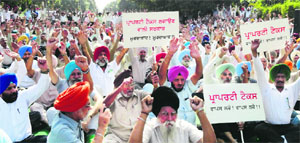 Members of the Citizen Welfare and Development Forum hold a protest against the imposition of property tax in front of the office of the MC in Mohali on Tuesday