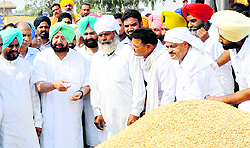 Former CM Capt Amarinder Singh interacts with the farmers at the grain market in Amritsar on Tuesday