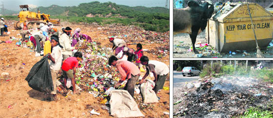 (Clockwise from top): Ragpickers at a garbage-dumping ground at Sector 23; a stray animal eats waste from a dustbin at Sector 7; and garbage being burnt at Sector 21 in Panchkula.