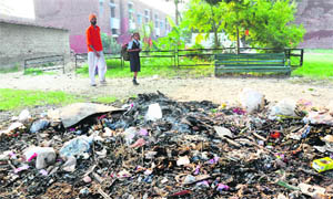Garbage lies dumped near a residential park at Sector 29 in Chandigarh. 