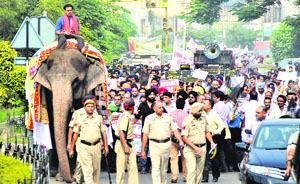 Jumbo protest: Members of the Joint Action Committee of Traders hold a demonstration in Jalandhar on Wednesday.