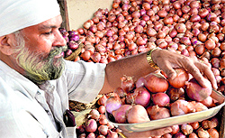A vendor sells onions in Ludhiana on Wednesday